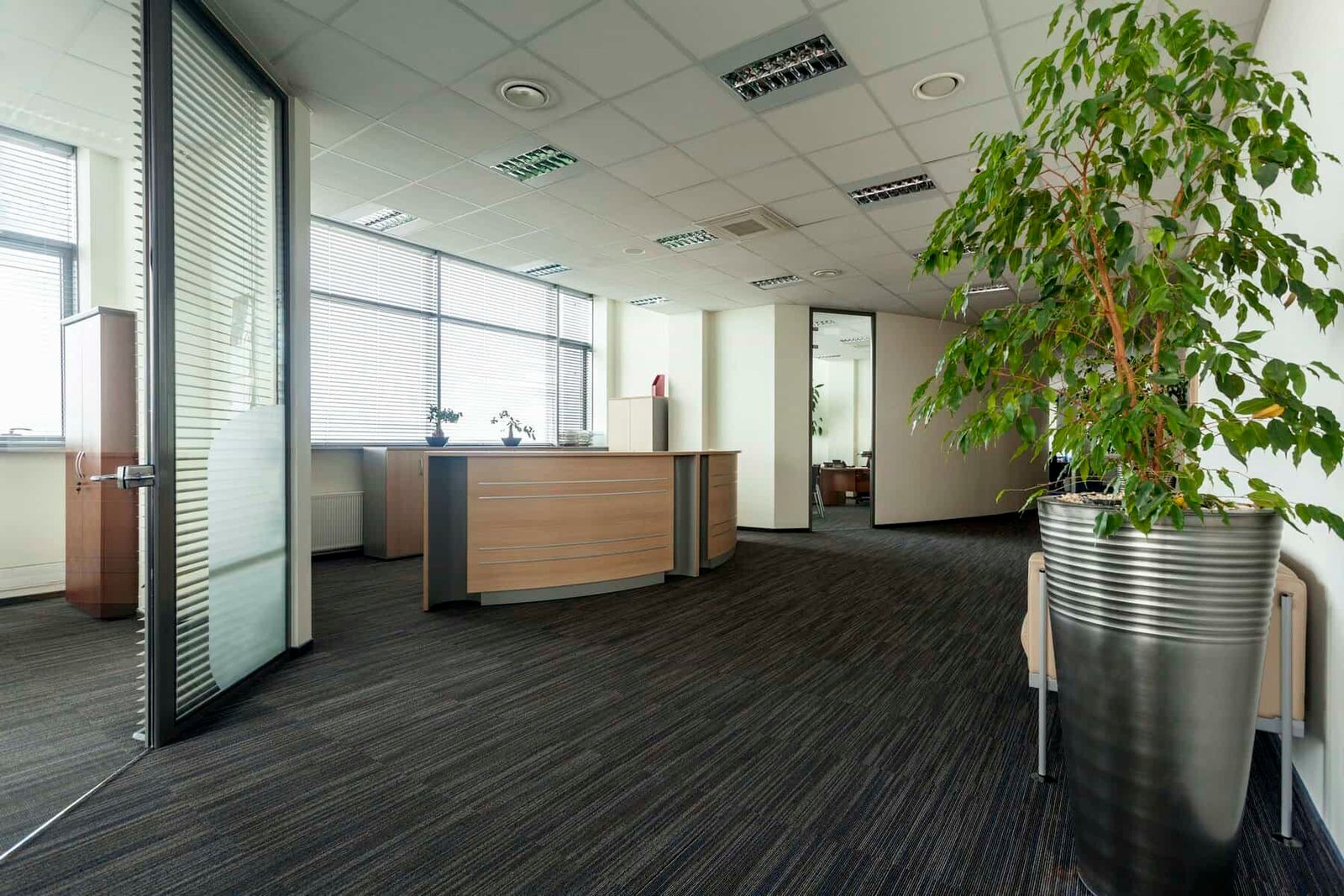 commercial_interior_