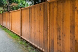 Cedar privacy fence with a warm honey wood stain running along a garden path